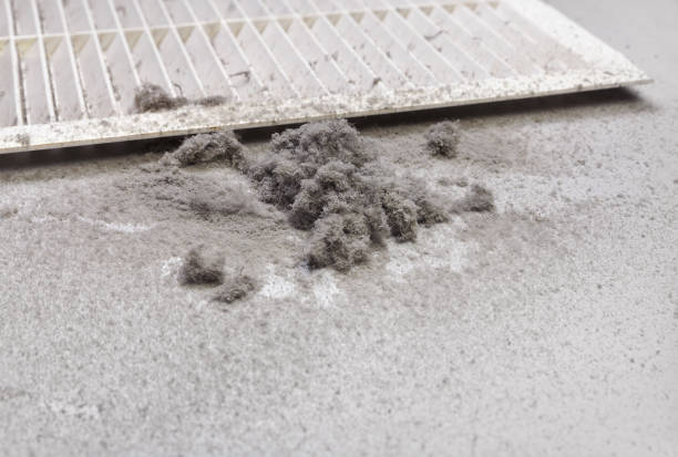 Best Local Air Duct Cleaning Services  in Blackshear, GA