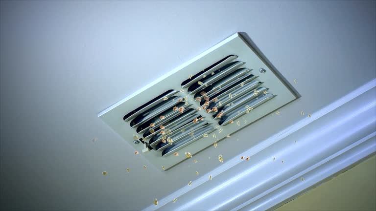 Affordable HVAC Duct Cleaning in GA