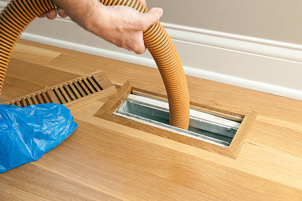 Best Air Duct Sanitizing Services  in Blackshear, GA