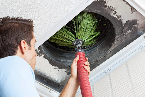 Best Professional Duct Cleaning Services  in Blackshear, GA